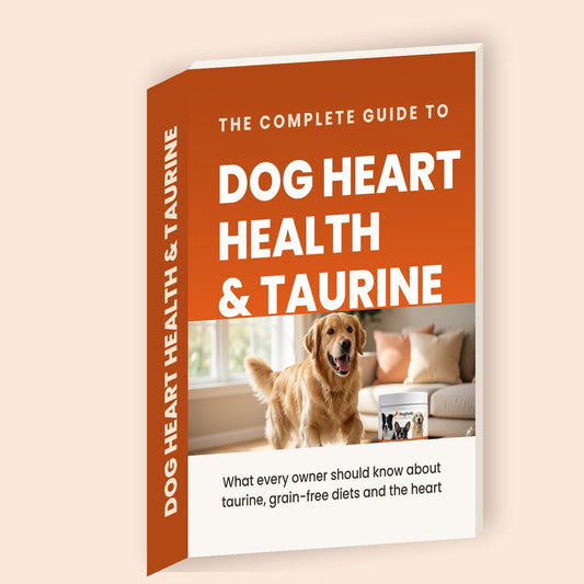 The Guide for a Healthy Dog