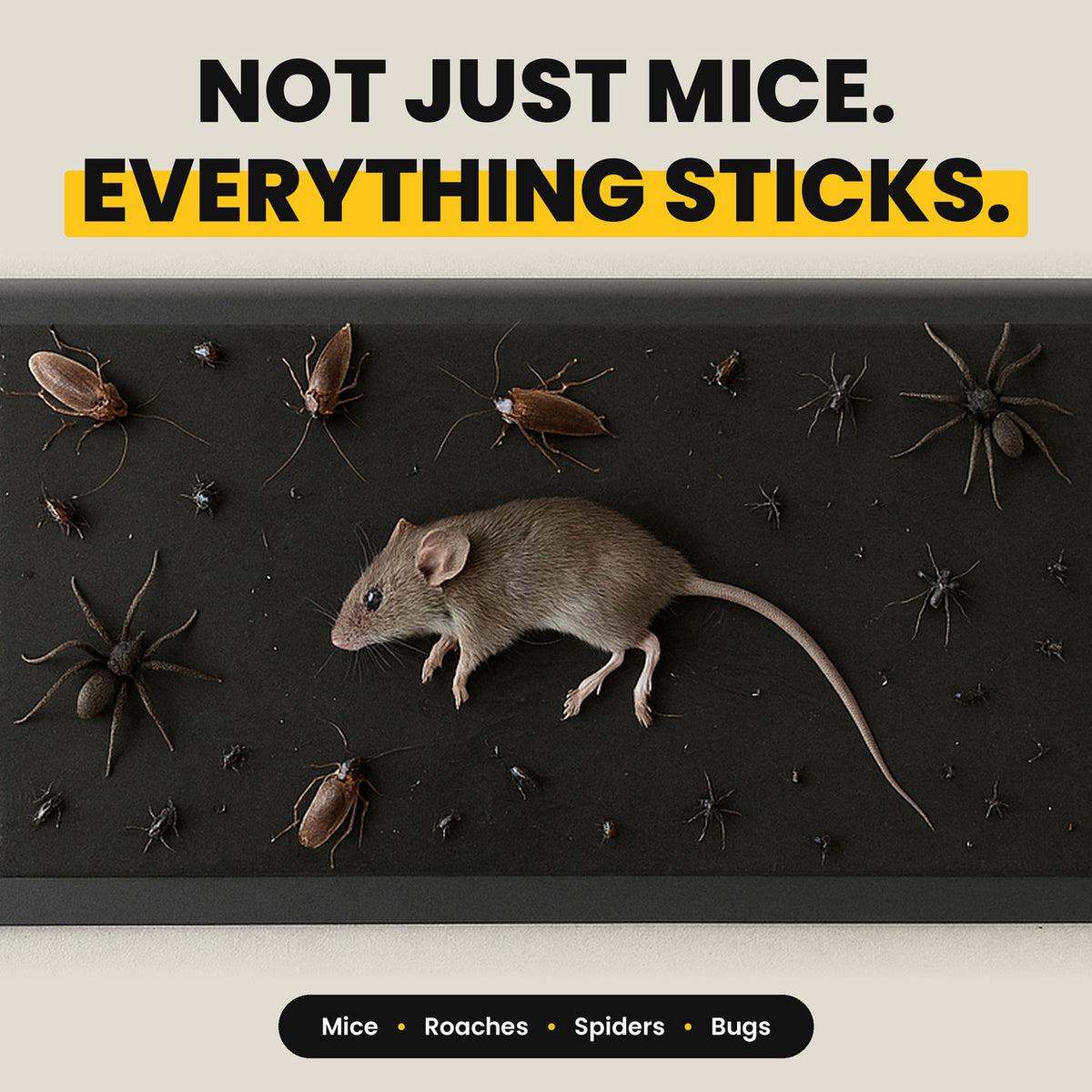 Not just mice: roaches, spiders and bugs stick too