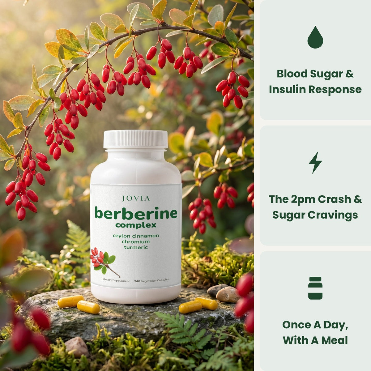 Jovia Berberine Complex bottle with barberry, supports healthy blood sugar and the 2pm crash