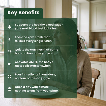 Key benefits of Jovia Berberine Complex