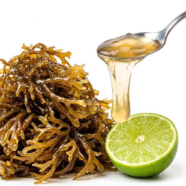 Irish Sea Moss