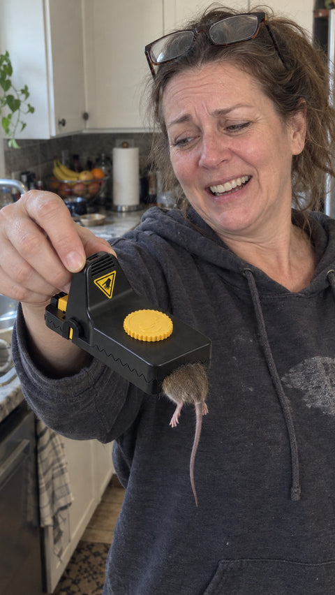 Woman in her kitchen holding a Jovia trap with a caught mouse at arm's length